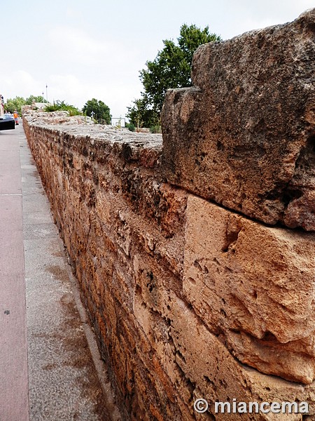 Muralla medieval de Alcúdia