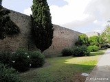 Muralla medieval de Alcúdia