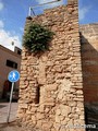 Muralla medieval de Alcúdia