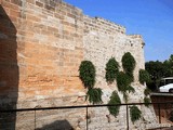 Muralla medieval de Alcúdia