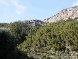 Castillo de Alaró