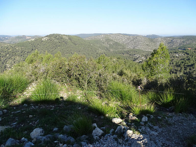 Castillo de Olivella