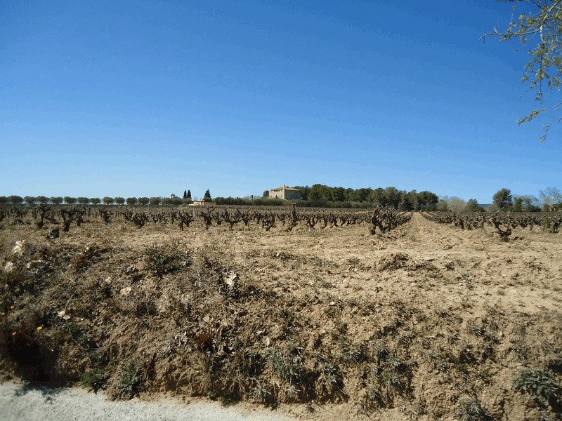 Castillo de La Bleda