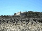 Castillo de La Bleda