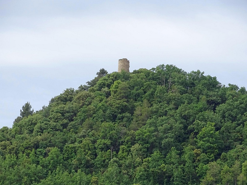 Castillo de Montmajor