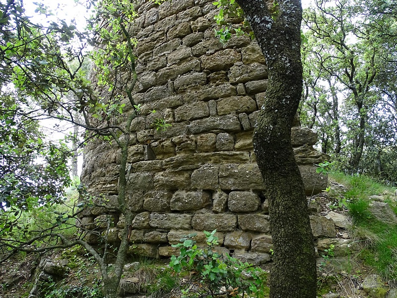 Castillo de Montmajor