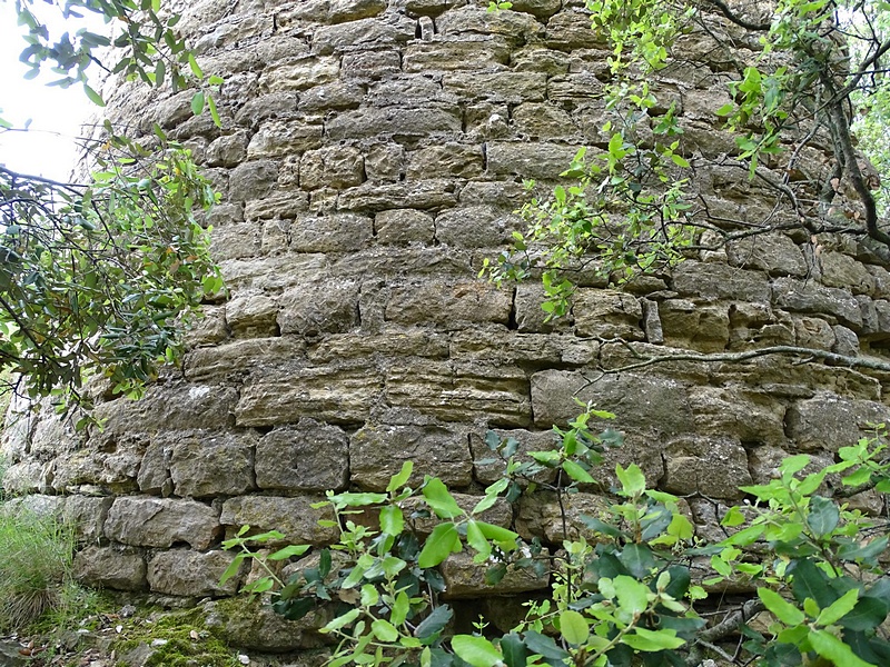 Castillo de Montmajor