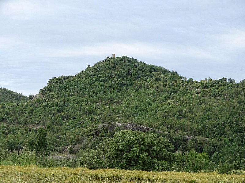 Castillo de Montmajor