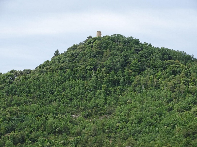 Castillo de Montmajor