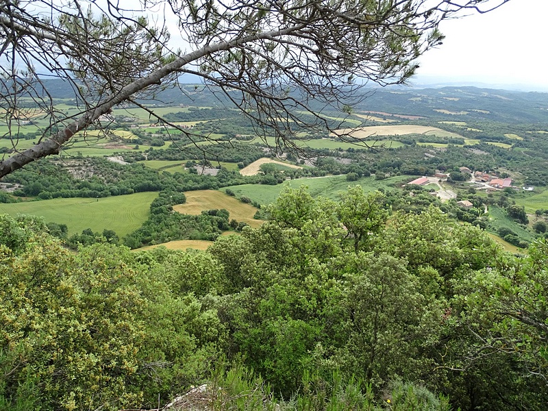 Castillo de Montmajor