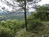 Castillo de Montmajor