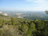 Castillo de Olèrdola