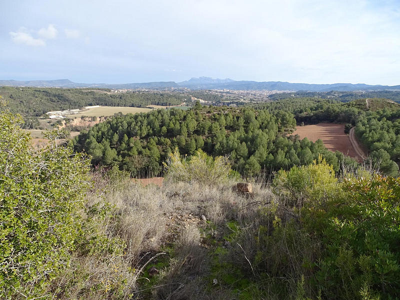 Torre Joveró