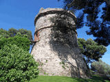 Torre Barona