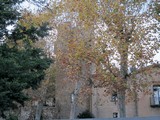 Torre del Baró