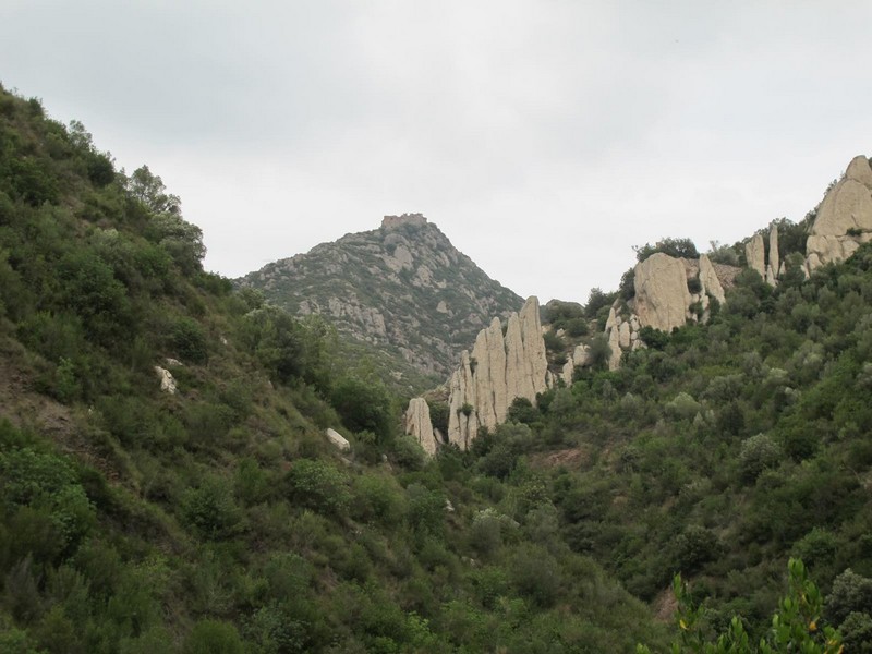 Castillo de Espases