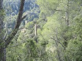 Castillo de Sant Jaume