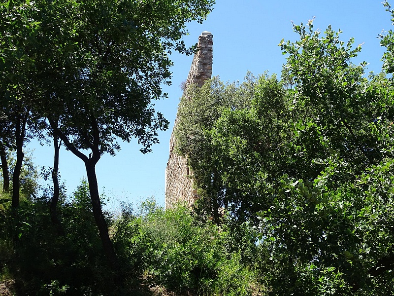 Castillo de Canals