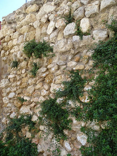 Muralla urbana de Vilafranca del Penedès