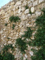 Muralla urbana de Vilafranca del Penedès