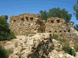 Castillo Fortí