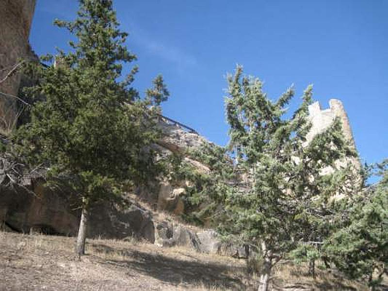 Castillo de los condes de Miranda