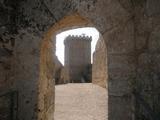 Castillo de los condes de Miranda