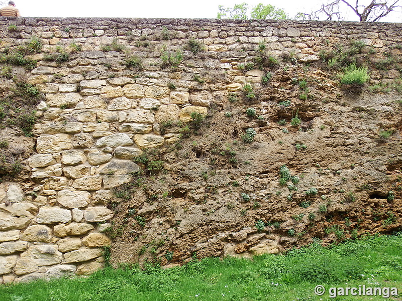 Castillo de Frías