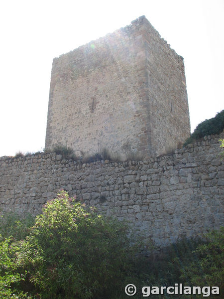 Castillo de Rebolledo de la Torre