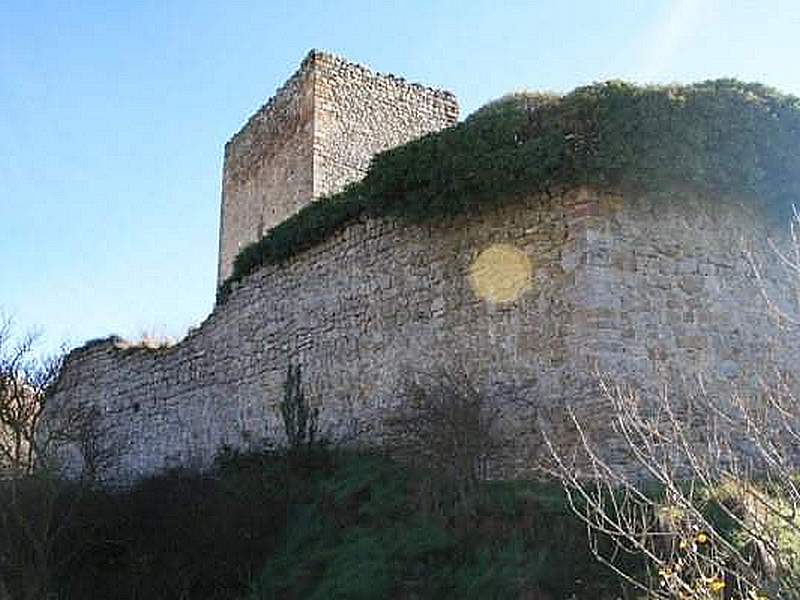 Castillo de Rebolledo de la Torre