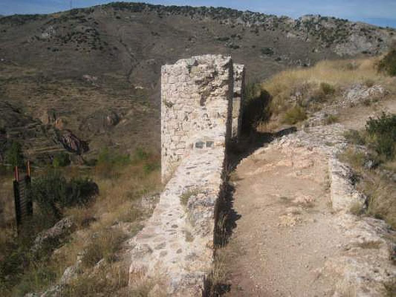 Castillo de los Rojas