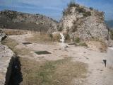 Castillo de los Rojas