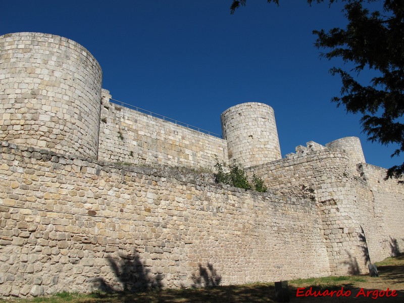 Castillo de Burgos