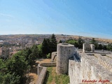 Castillo de Burgos