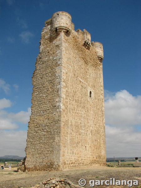 Torre de Hoyales de Roa