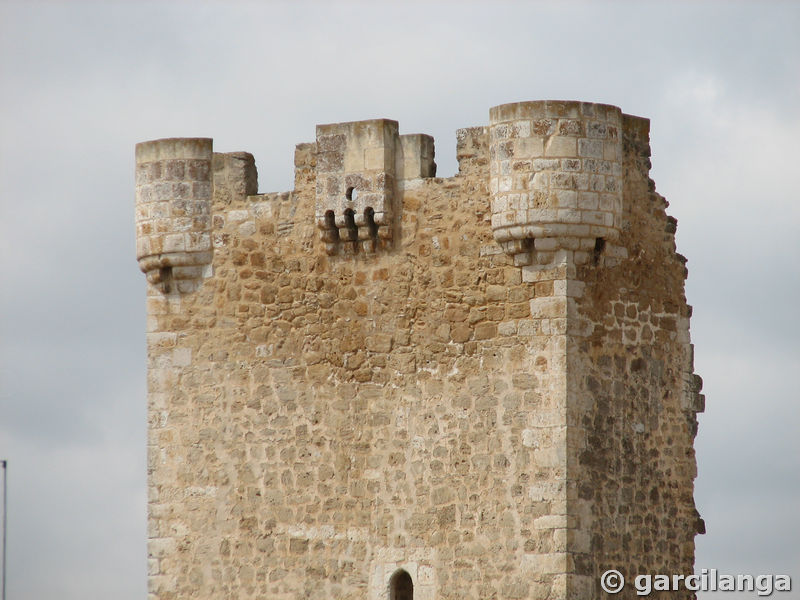 Torre de Hoyales de Roa