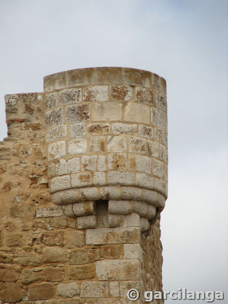 Torre de Hoyales de Roa