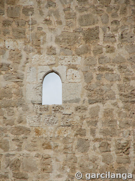 Torre de Hoyales de Roa