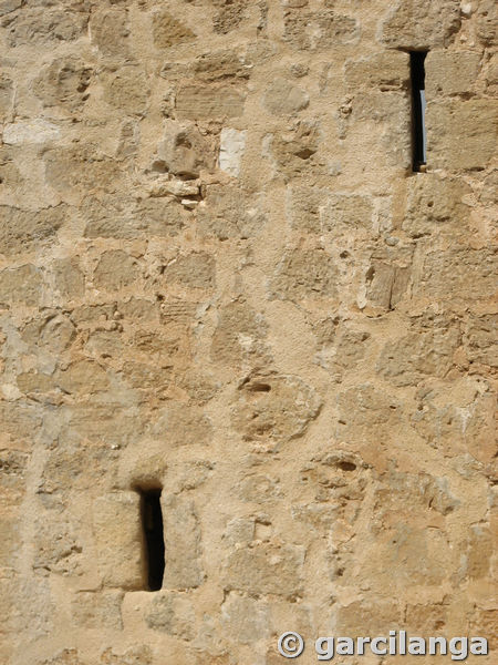 Torre de Hoyales de Roa