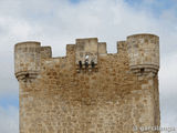 Torre de Hoyales de Roa