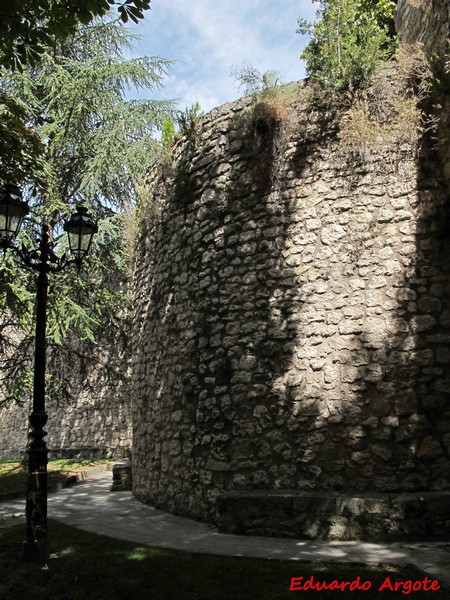 Muralla urbana de Burgos