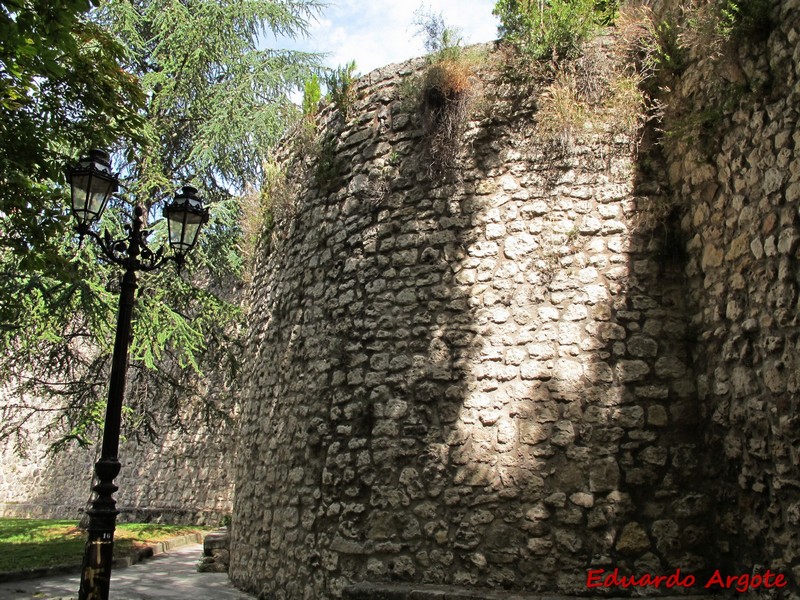 Muralla urbana de Burgos