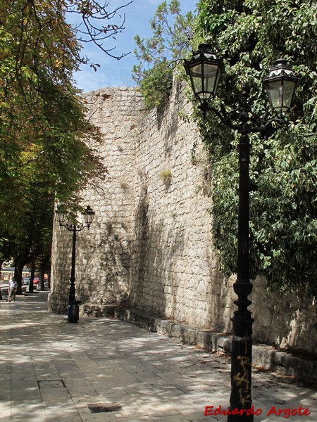 Muralla urbana de Burgos