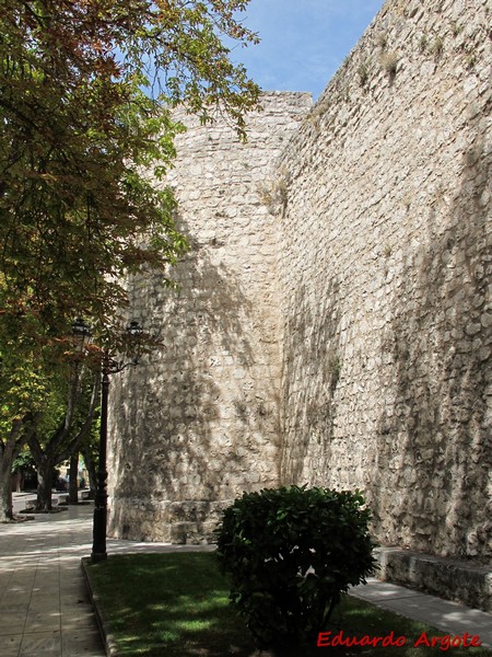 Muralla urbana de Burgos