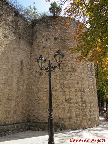 Muralla urbana de Burgos