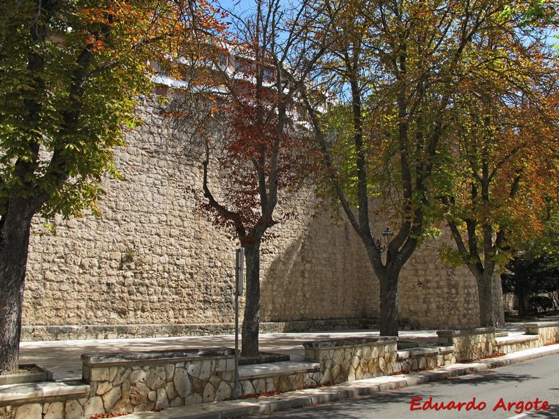 Muralla urbana de Burgos