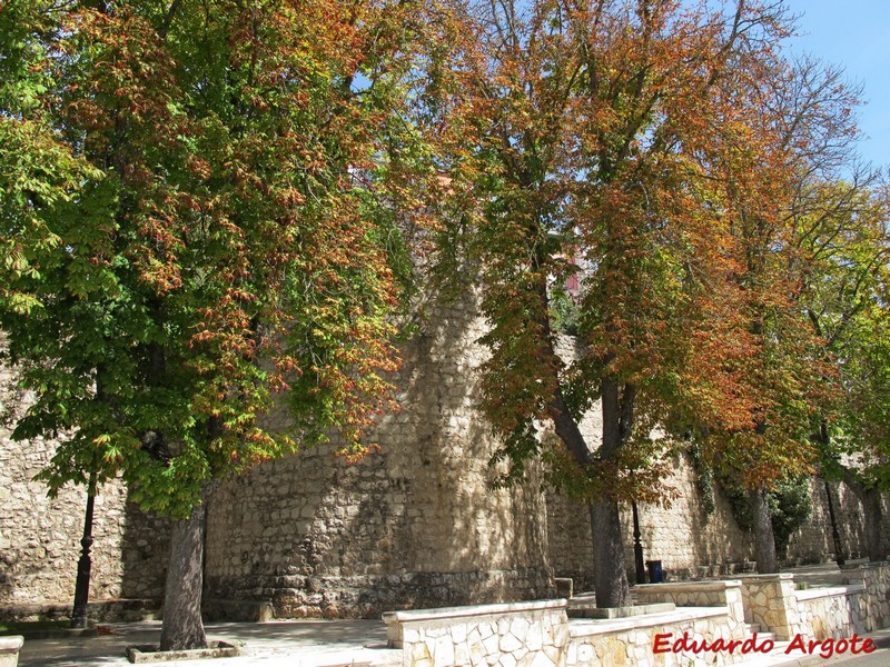 Muralla urbana de Burgos