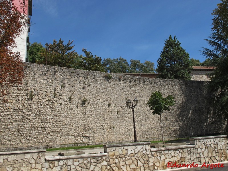 Muralla urbana de Burgos