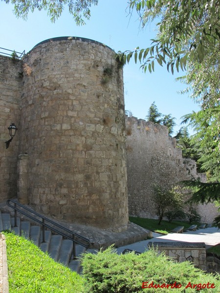 Muralla urbana de Burgos