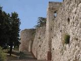 Muralla urbana de Burgos